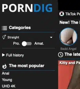 PornDig
